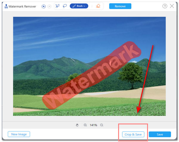AnyMP4 Removing Watermarks Crop Save