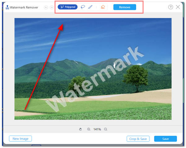 AnyMP4 Removing Watermarks Select Tools