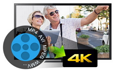 Thanks for installing AnyMP4 4K Converter