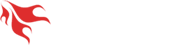 AnyMP4 logó